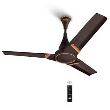Fans